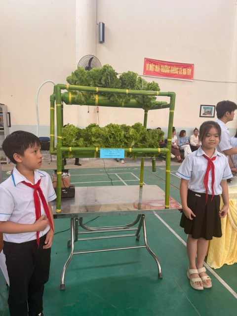 GIÀN RAU THỦY CANH – MÔ HÌNH SÁNG TẠO THÂN THIỆN MÔI TRƯỜNG CỦA HỌC SINH TIỂU HỌC NAM THANH
